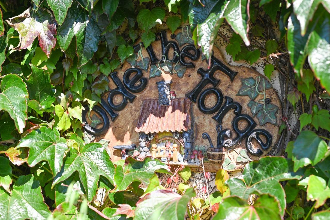 The Olde Forge B & B Caherdaniel Bagian luar foto